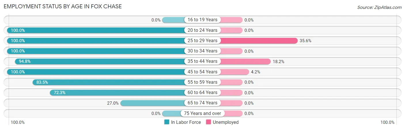 Employment Status by Age in Fox Chase
