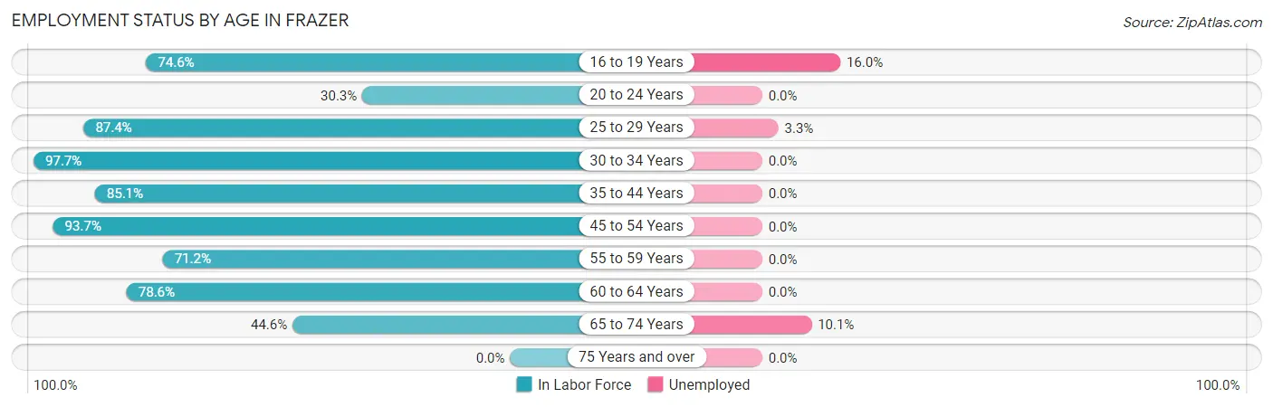 Employment Status by Age in Frazer