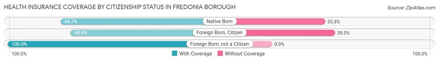 Health Insurance Coverage by Citizenship Status in Fredonia borough