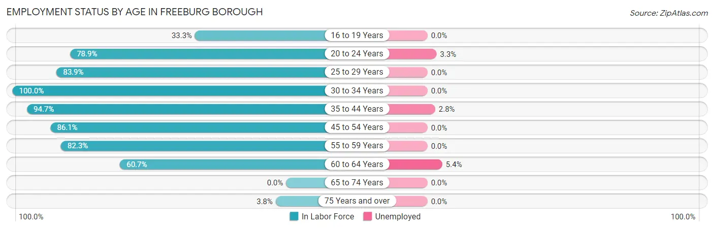 Employment Status by Age in Freeburg borough