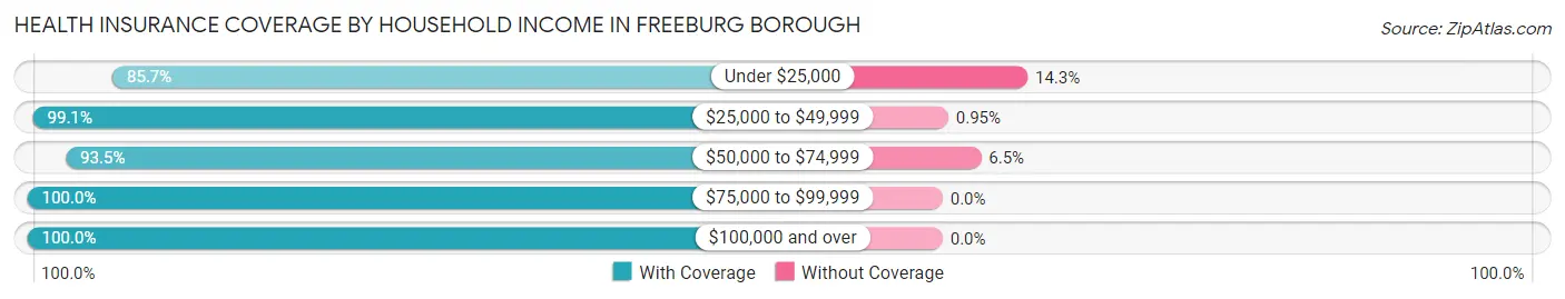 Health Insurance Coverage by Household Income in Freeburg borough