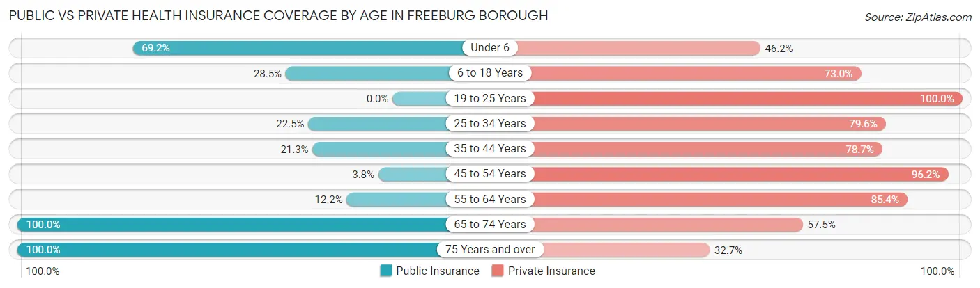 Public vs Private Health Insurance Coverage by Age in Freeburg borough