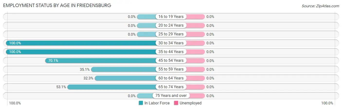 Employment Status by Age in Friedensburg