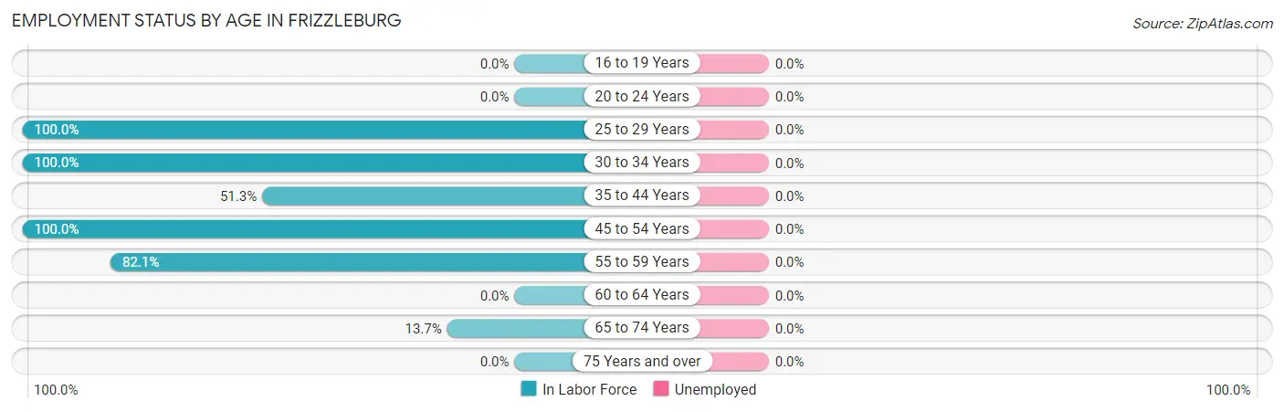 Employment Status by Age in Frizzleburg