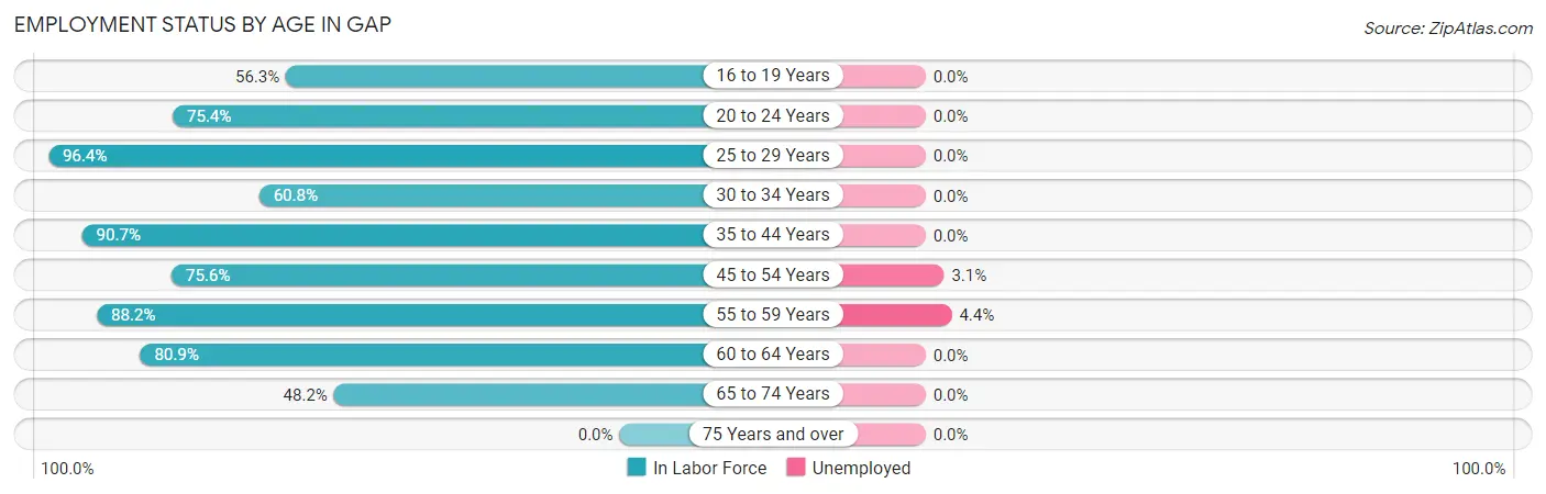 Employment Status by Age in Gap