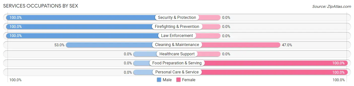 Services Occupations by Sex in Gap