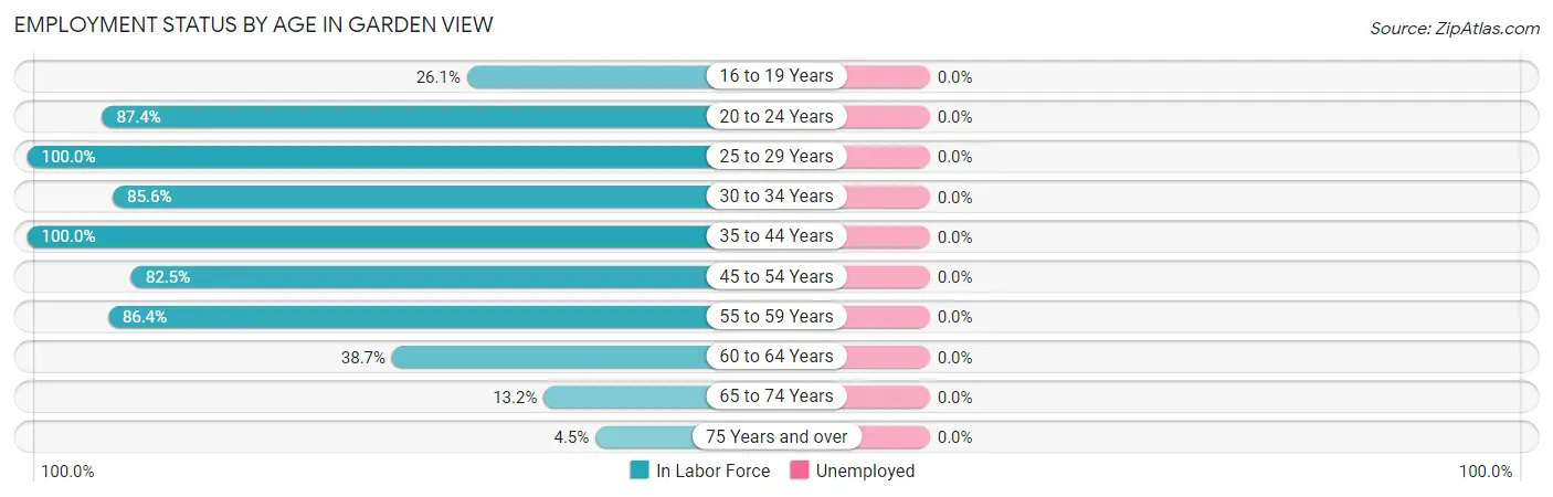 Employment Status by Age in Garden View