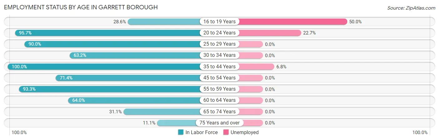 Employment Status by Age in Garrett borough