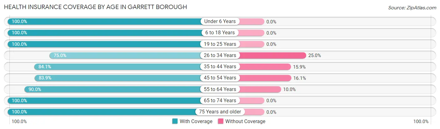 Health Insurance Coverage by Age in Garrett borough