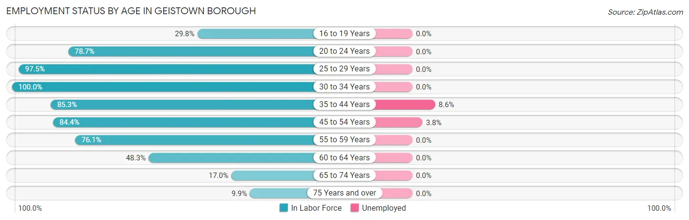 Employment Status by Age in Geistown borough