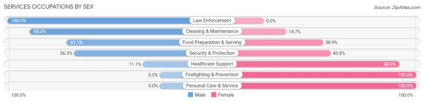 Services Occupations by Sex in Geistown borough