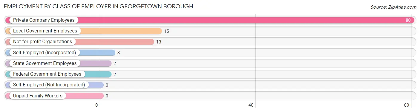 Employment by Class of Employer in Georgetown borough
