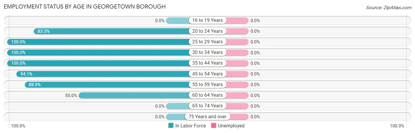 Employment Status by Age in Georgetown borough