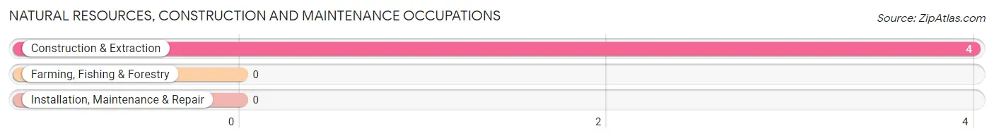 Natural Resources, Construction and Maintenance Occupations in Glasgow borough