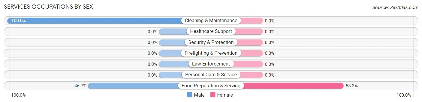 Services Occupations by Sex in Glasgow borough