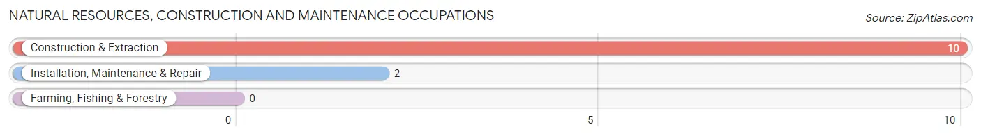 Natural Resources, Construction and Maintenance Occupations in Glenfield borough