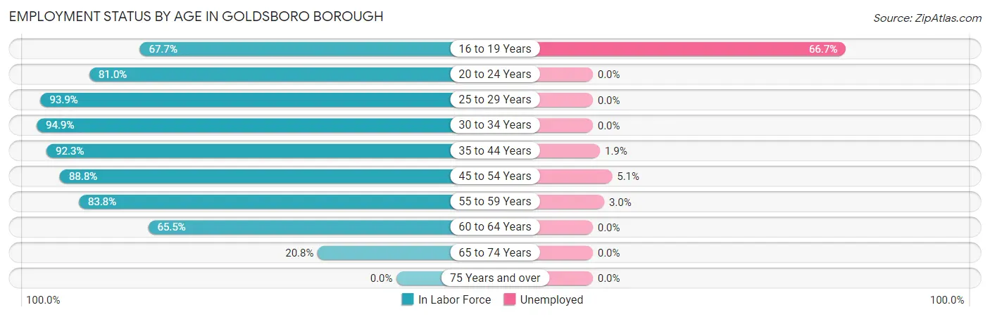 Employment Status by Age in Goldsboro borough