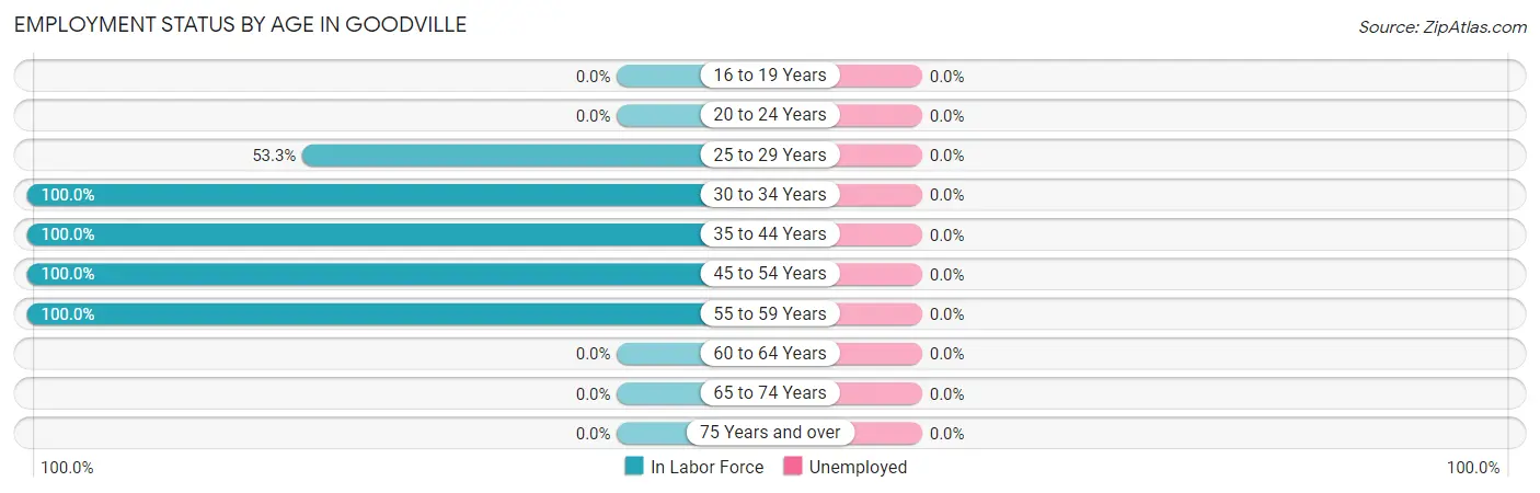 Employment Status by Age in Goodville