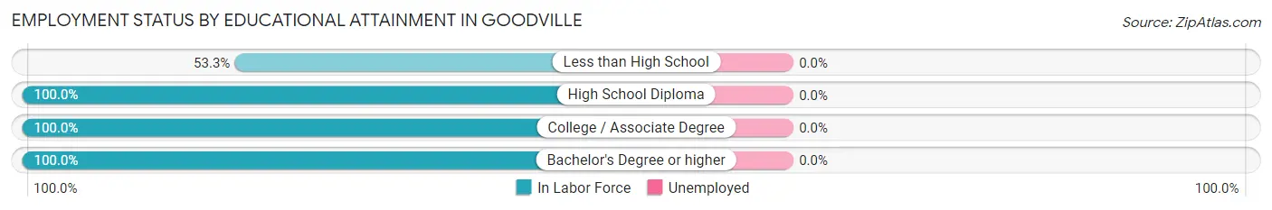 Employment Status by Educational Attainment in Goodville