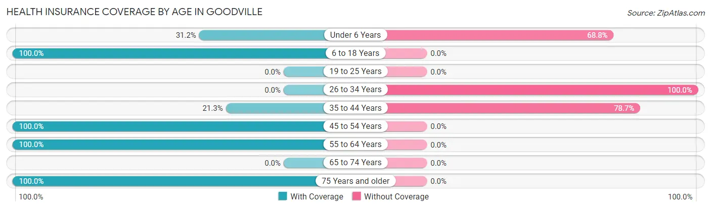Health Insurance Coverage by Age in Goodville