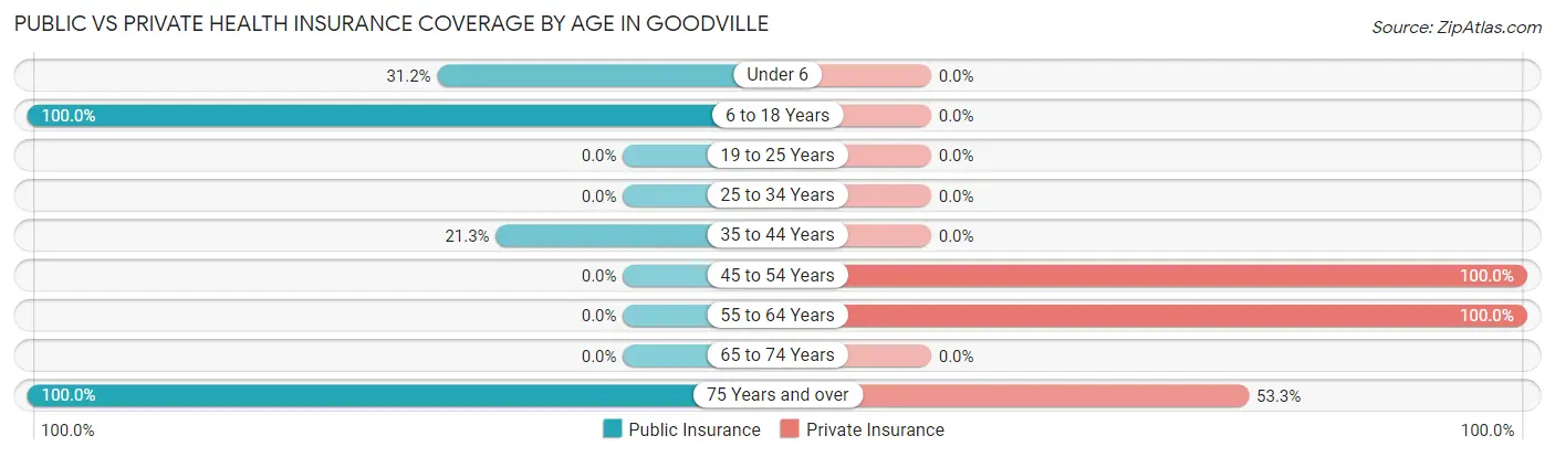 Public vs Private Health Insurance Coverage by Age in Goodville