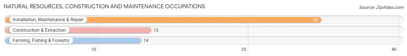 Natural Resources, Construction and Maintenance Occupations in Gordonville