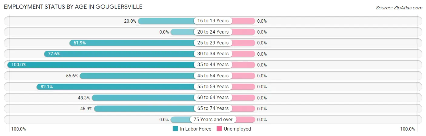 Employment Status by Age in Gouglersville