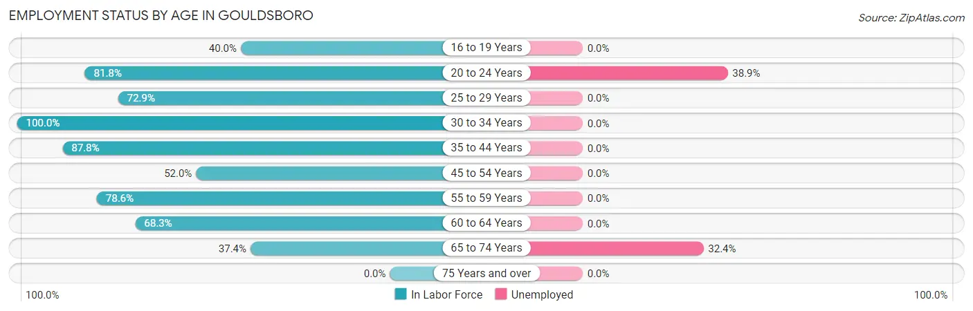 Employment Status by Age in Gouldsboro