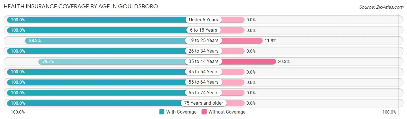 Health Insurance Coverage by Age in Gouldsboro