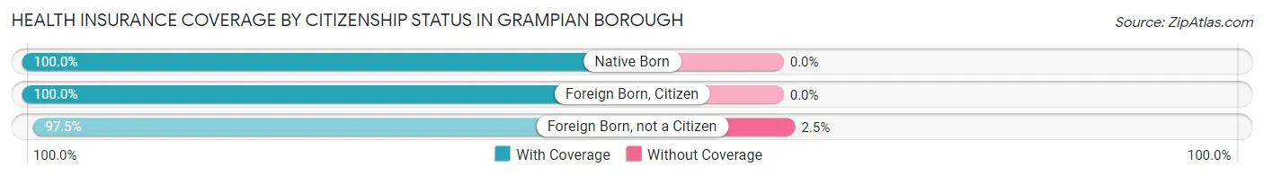 Health Insurance Coverage by Citizenship Status in Grampian borough