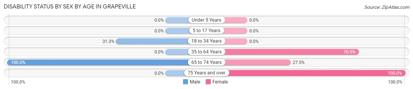 Disability Status by Sex by Age in Grapeville