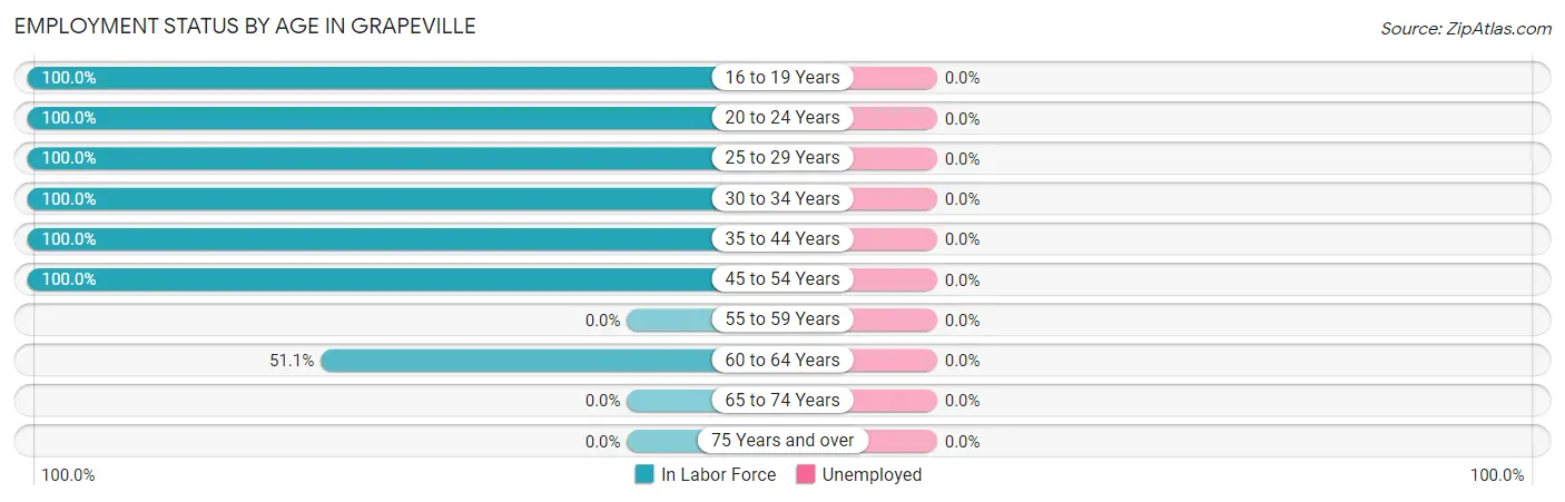 Employment Status by Age in Grapeville