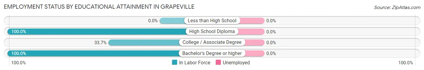 Employment Status by Educational Attainment in Grapeville