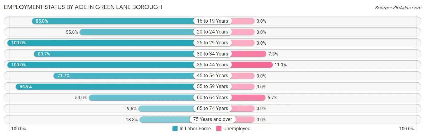 Employment Status by Age in Green Lane borough