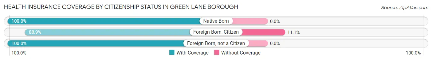Health Insurance Coverage by Citizenship Status in Green Lane borough