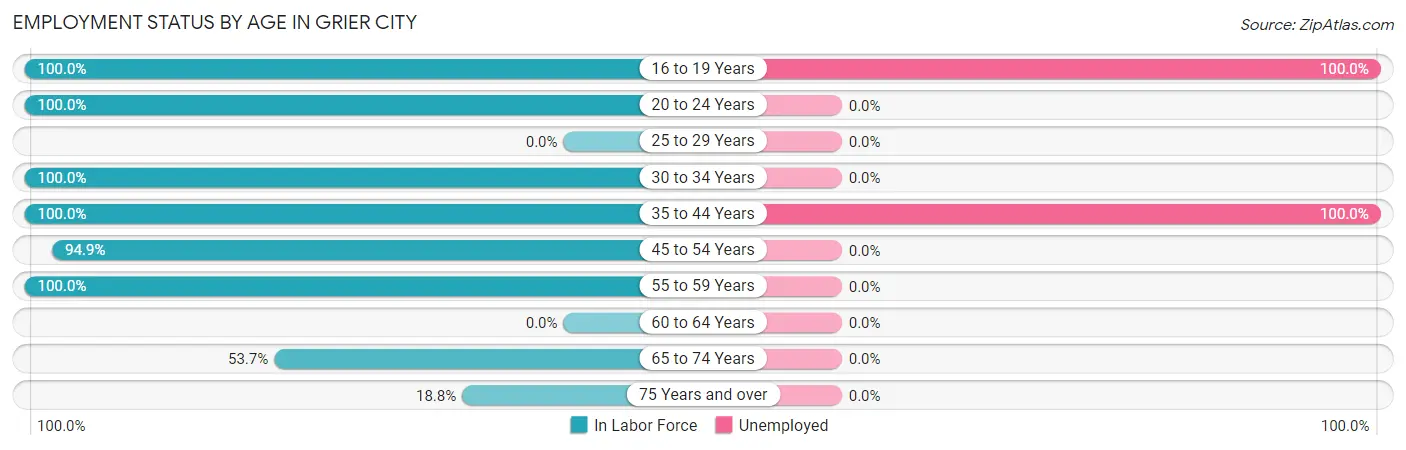 Employment Status by Age in Grier City
