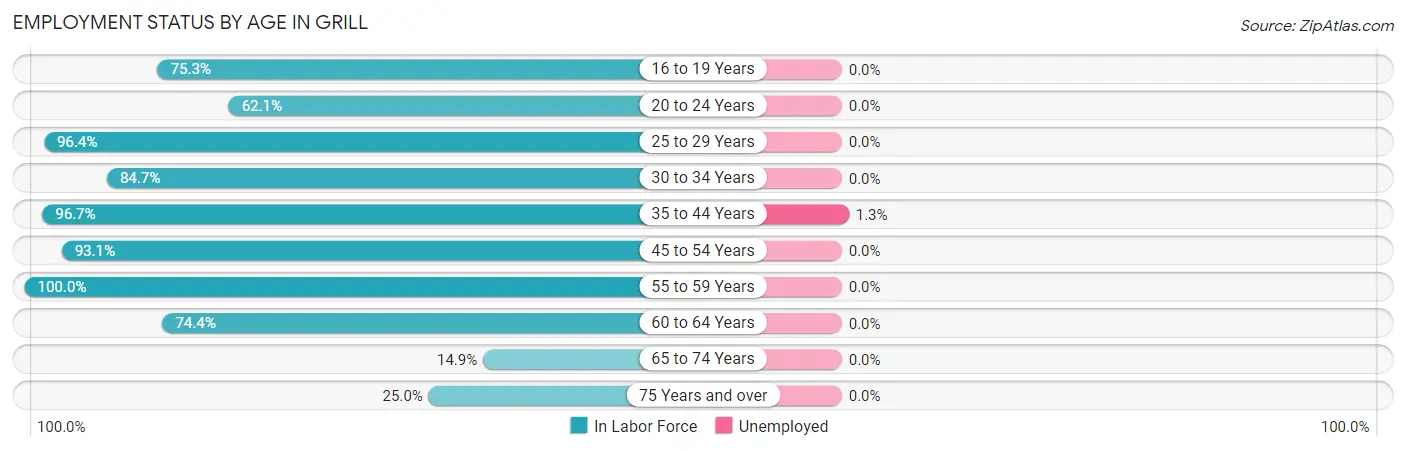 Employment Status by Age in Grill