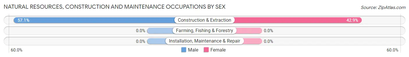Natural Resources, Construction and Maintenance Occupations by Sex in Guys Mills