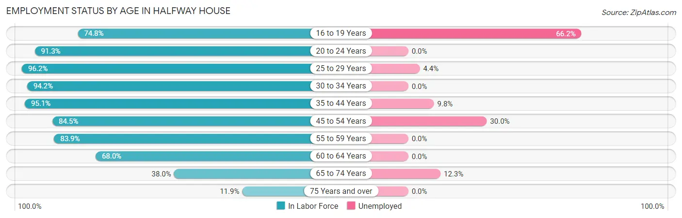 Employment Status by Age in Halfway House