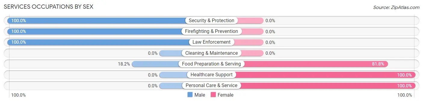Services Occupations by Sex in Hallam borough