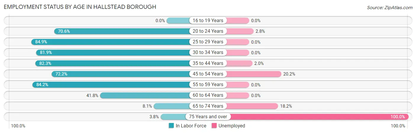 Employment Status by Age in Hallstead borough