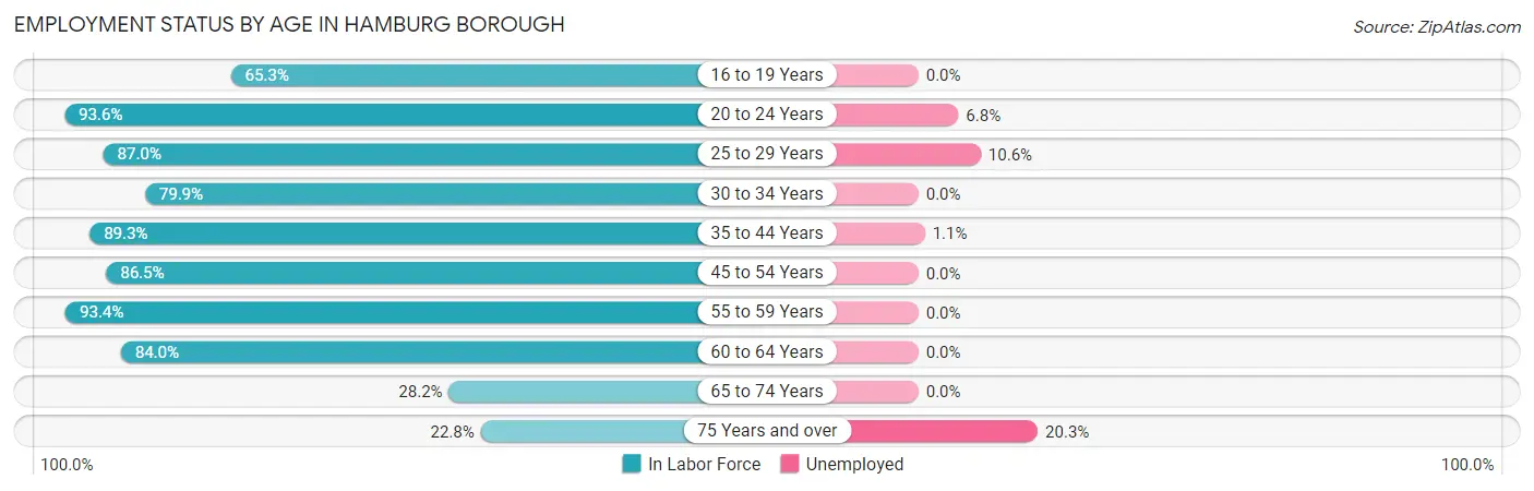 Employment Status by Age in Hamburg borough