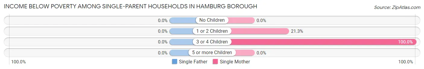 Income Below Poverty Among Single-Parent Households in Hamburg borough