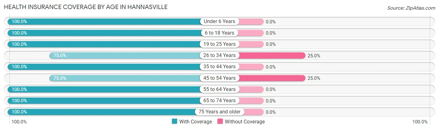 Health Insurance Coverage by Age in Hannasville