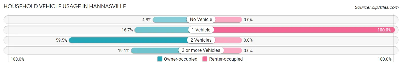 Household Vehicle Usage in Hannasville