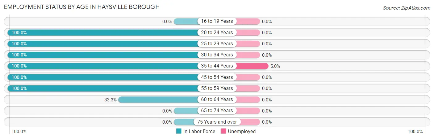 Employment Status by Age in Haysville borough
