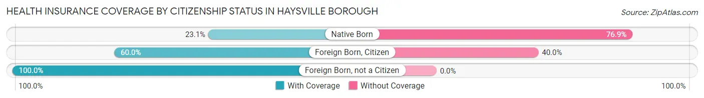 Health Insurance Coverage by Citizenship Status in Haysville borough