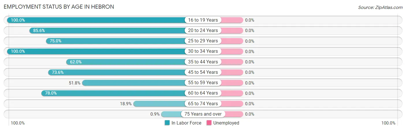 Employment Status by Age in Hebron