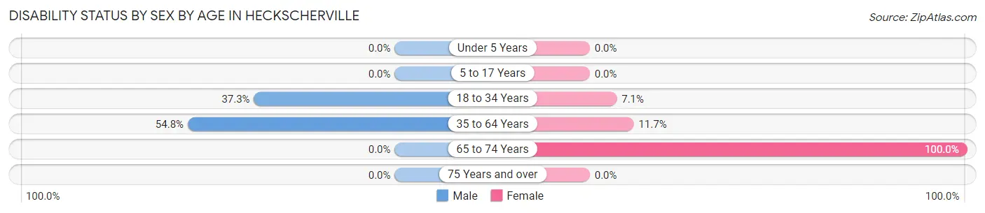 Disability Status by Sex by Age in Heckscherville