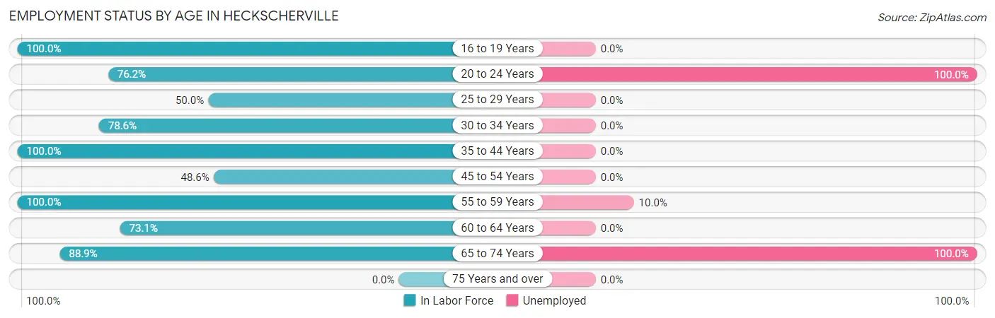 Employment Status by Age in Heckscherville